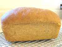 Bread__honey_whole_wheat